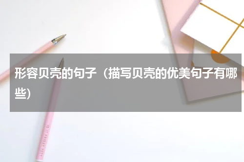 形容贝壳的句子（描写贝壳的优美句子有哪些）