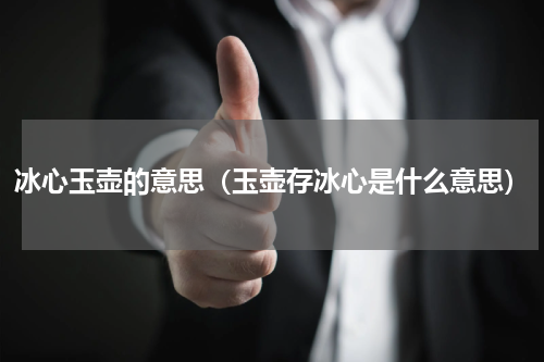冰心玉壶的意思（玉壶存冰心是什么意思）