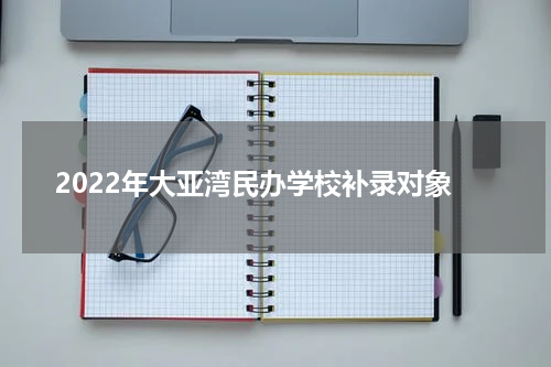 2022年大亚湾民办学校补录对象