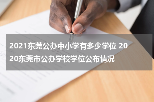 2021东莞公办中小学有多少学位 2020东莞市公办学校学位公布情况