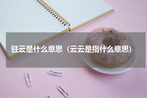 驻云是什么意思（云云是指什么意思）