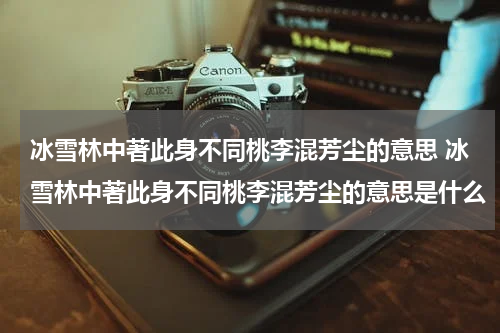 冰雪林中著此身不同桃李混芳尘的意思 冰雪林中著此身不同桃李混芳尘的意思是什么