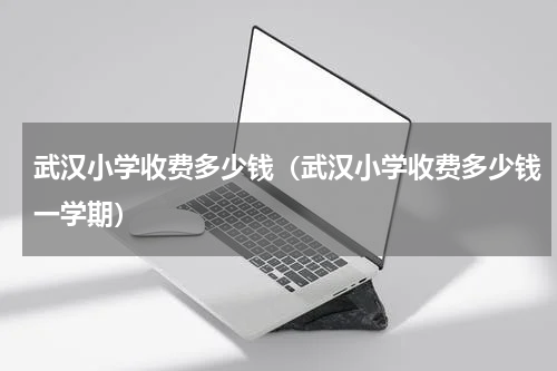 武汉小学收费多少钱（武汉小学收费多少钱一学期）