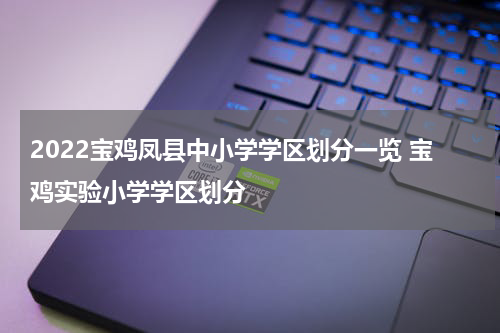 2022宝鸡凤县中小学学区划分一览 宝鸡实验小学学区划分