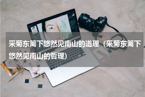 采菊东篱下悠然见南山的道理（采菊东篱下悠然见南山的哲理）