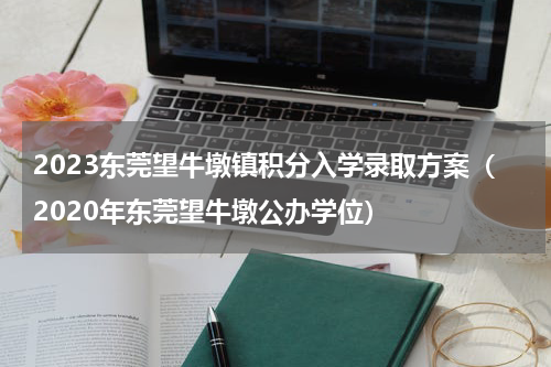 2023东莞望牛墩镇积分入学录取方案（2020年东莞望牛墩公办学位）