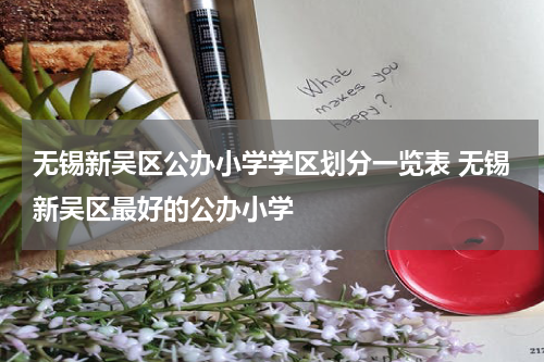 无锡新吴区公办小学学区划分一览表 无锡新吴区最好的公办小学