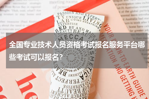 全国专业技术人员资格考试报名服务平台哪些考试可以报名？