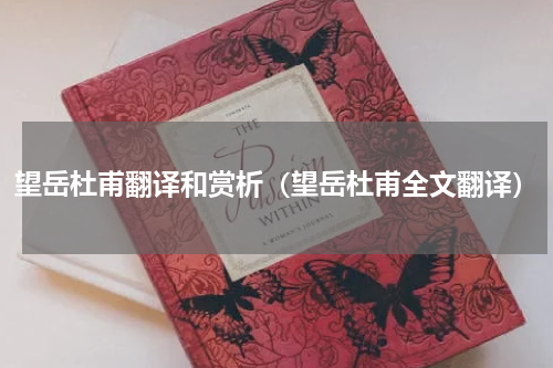 望岳杜甫翻译和赏析（望岳杜甫全文翻译）