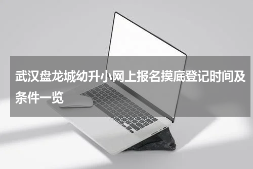 武汉盘龙城幼升小网上报名摸底登记时间及条件一览