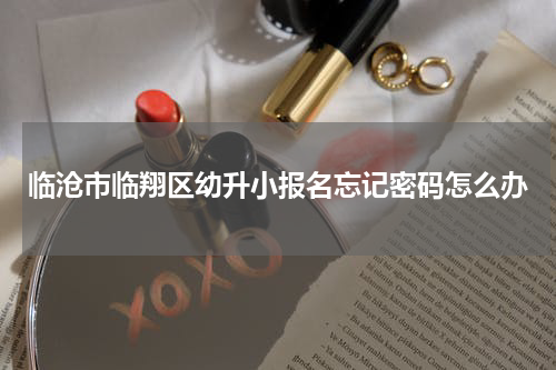 临沧市临翔区幼升小报名忘记密码怎么办