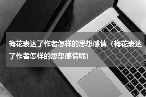 梅花表达了作者怎样的思想感情（梅花表达了作者怎样的思想感情呢）