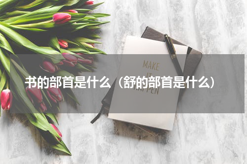 书的部首是什么（舒的部首是什么）