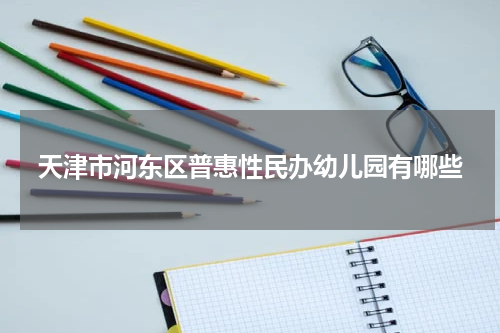 天津市河东区普惠性民办幼儿园有哪些