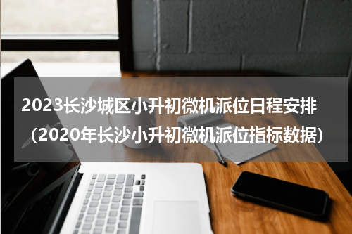 2023长沙城区小升初微机派位日程安排（2020年长沙小升初微机派位指标数据）