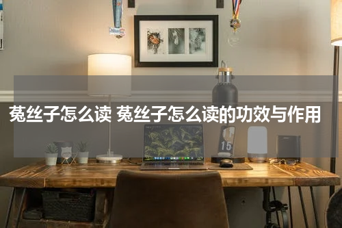 菟丝子怎么读 菟丝子怎么读的功效与作用