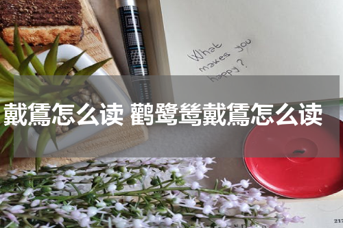 戴鵀怎么读 鹳鹭鸶戴鵀怎么读