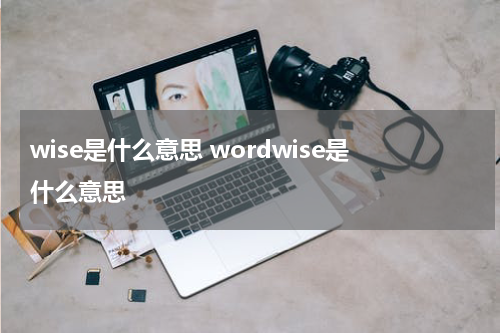 wise是什么意思 wordwise是什么意思