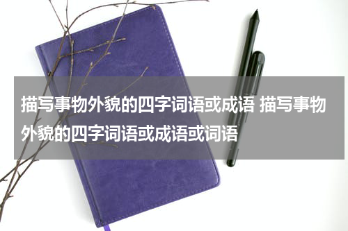 描写事物外貌的四字词语或成语 描写事物外貌的四字词语或成语或词语