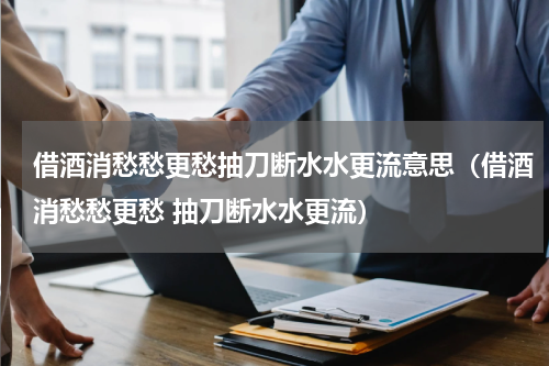 借酒消愁愁更愁抽刀断水水更流意思（借酒消愁愁更愁 抽刀断水水更流）