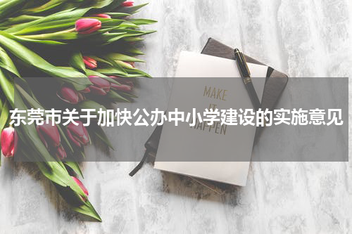 东莞市关于加快公办中小学建设的实施意见