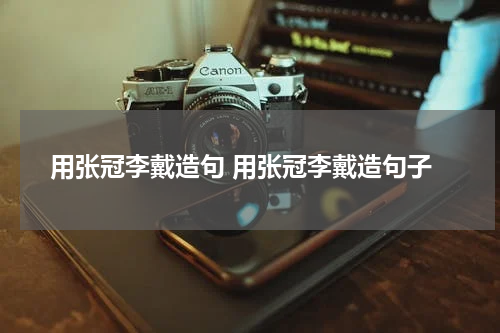 用张冠李戴造句 用张冠李戴造句子