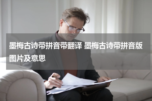墨梅古诗带拼音带翻译 墨梅古诗带拼音版图片及意思