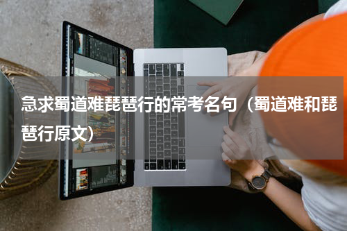 急求蜀道难琵琶行的常考名句（蜀道难和琵琶行原文）