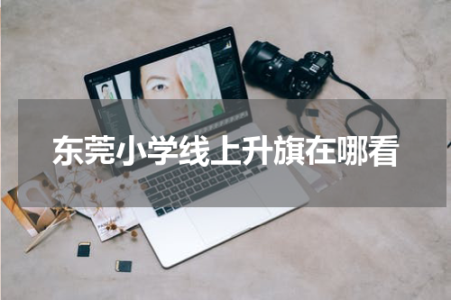 东莞小学线上升旗在哪看