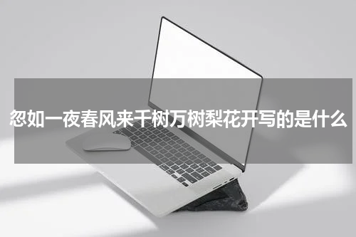 忽如一夜春风来千树万树梨花开写的是什么