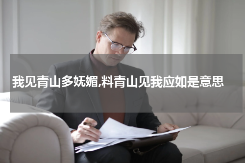 我见青山多妩媚,料青山见我应如是意思