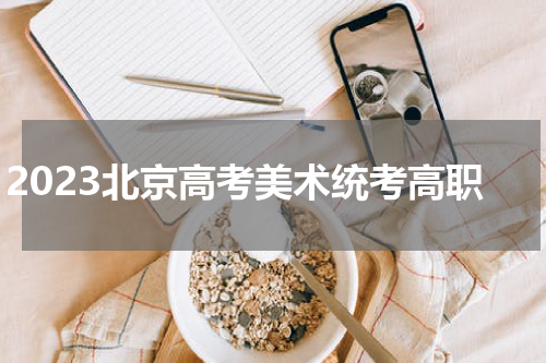 2023北京高考美术统考高职