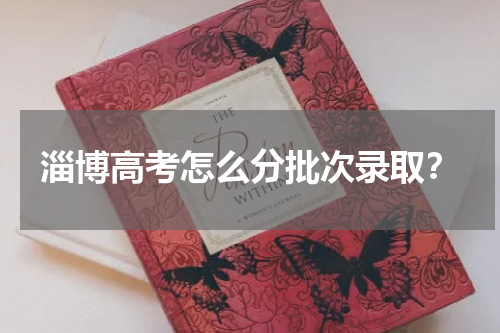 淄博高考怎么分批次录取？