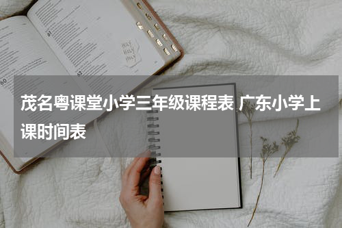 茂名粤课堂小学三年级课程表 广东小学上课时间表