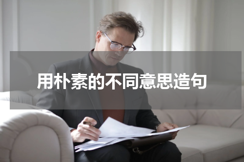 用朴素的不同意思造句