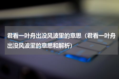 君看一叶舟出没风波里的意思（君看一叶舟出没风波里的意思和解析）