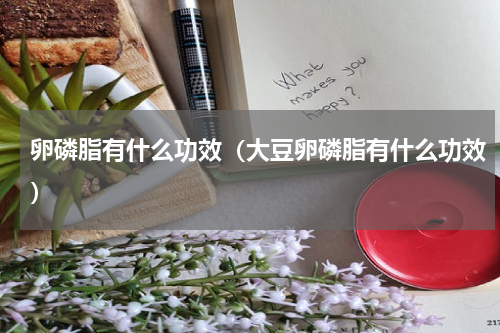 卵磷脂有什么功效（大豆卵磷脂有什么功效）