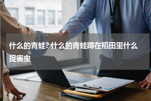什么的青蛙? 什么的青蛙蹲在稻田里什么捉害虫
