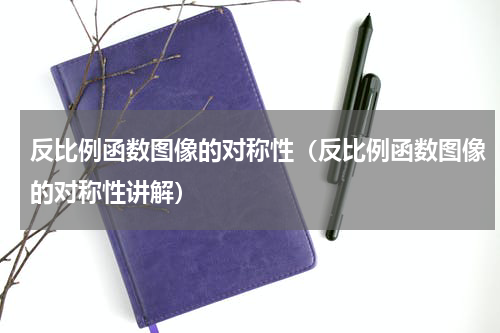 反比例函数图像的对称性（反比例函数图像的对称性讲解）
