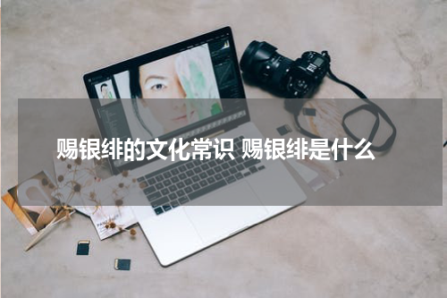赐银绯的文化常识 赐银绯是什么