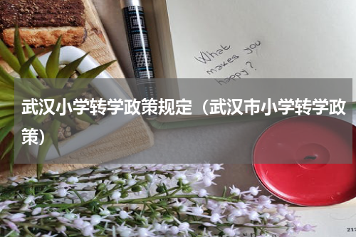 武汉小学转学政策规定（武汉市小学转学政策）
