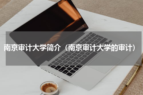南京审计大学简介（南京审计大学的审计）