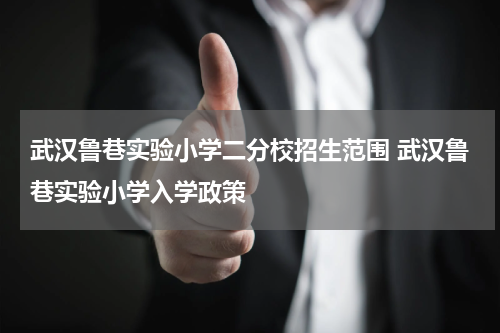 武汉鲁巷实验小学二分校招生范围 武汉鲁巷实验小学入学政策
