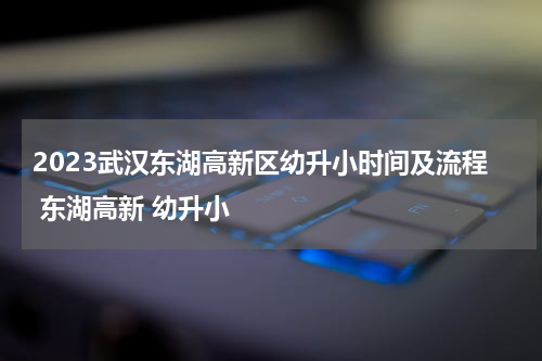 2023武汉东湖高新区幼升小时间及流程 东湖高新 幼升小