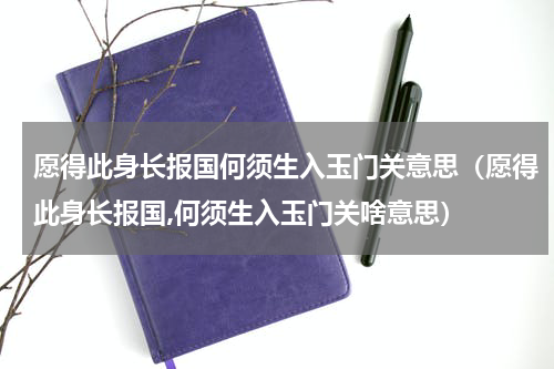 愿得此身长报国何须生入玉门关意思（愿得此身长报国,何须生入玉门关啥意思）