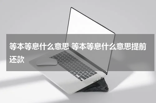 等本等息什么意思 等本等息什么意思提前还款