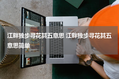江畔独步寻花其五意思 江畔独步寻花其五意思简单