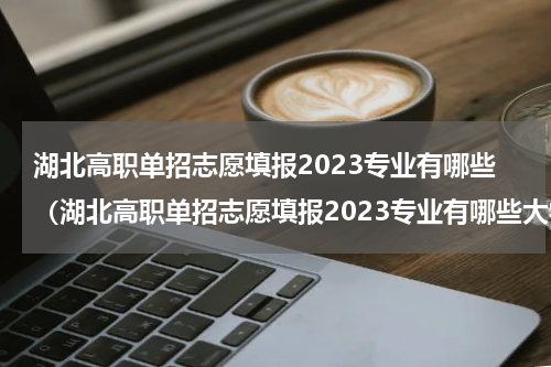 湖北高职单招志愿填报2023专业有哪些（湖北高职单招志愿填报2023专业有哪些大学）