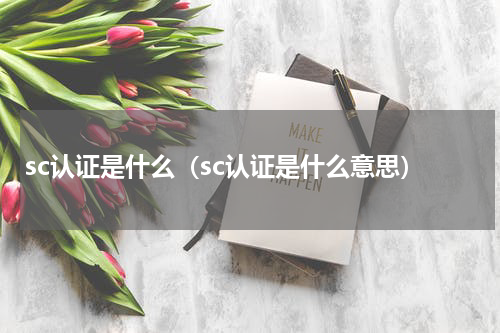 sc认证是什么（sc认证是什么意思）