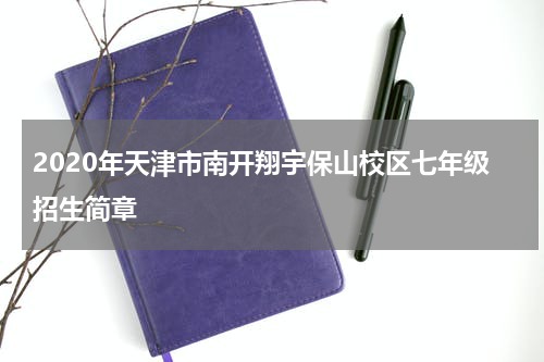 2020年天津市南开翔宇保山校区七年级招生简章